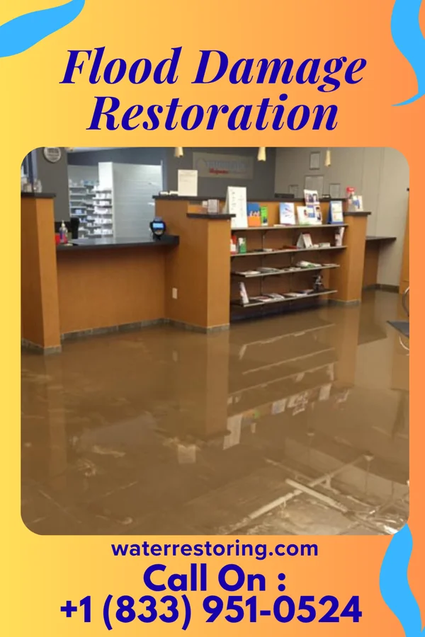 Flood Damage Restoration in Golden Valley, MN