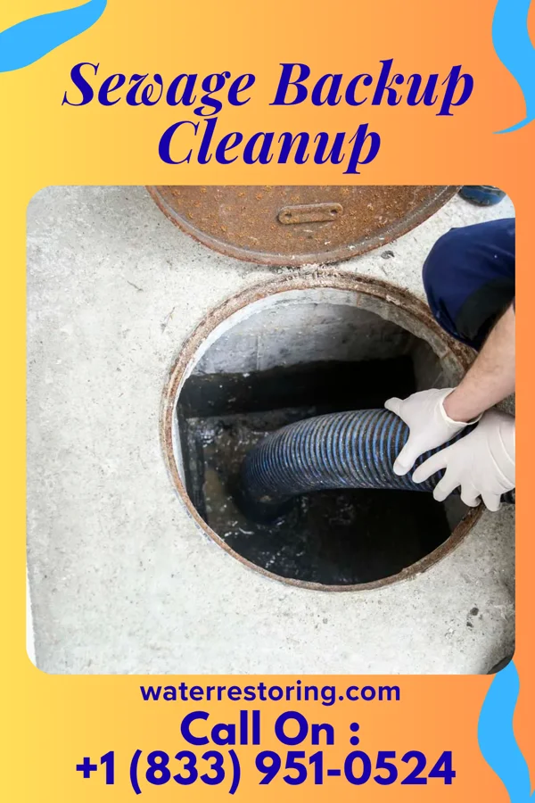 Sewage Backup Cleanup in Golden Valley, MN